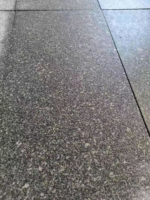 芝麻黑g654石材山東章丘黑石材